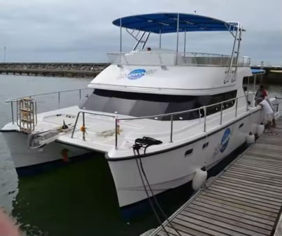 50 Passenger Customized Catamaran Luxury Fiberglass Yacht Water Taxi Ferry for Cruising