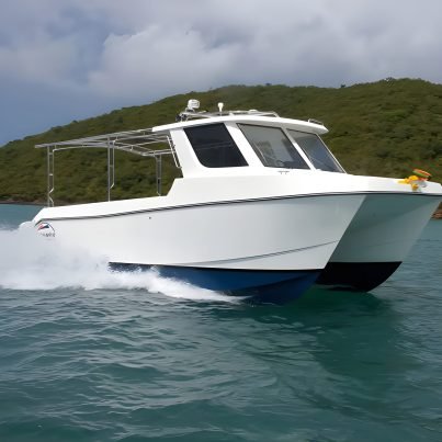 12 Passenger Fiberglass Catamaran Water Taxi Ferry Durable Yacht